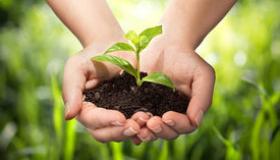 Устойчивое развитие