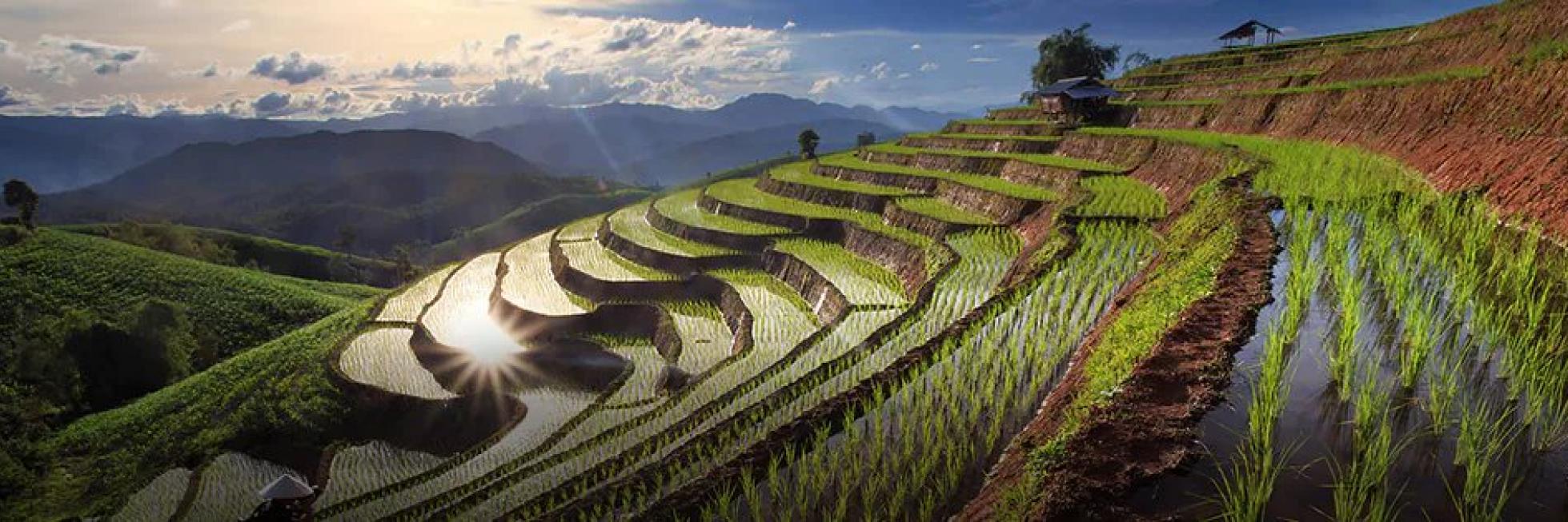 environmental protection